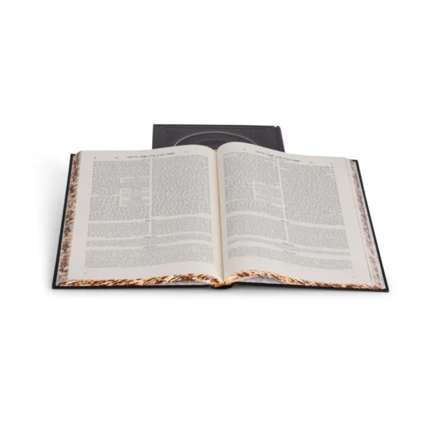 ⁦ש"ס חתנים החדש, זכר חנוך, 22 כר' (26*36 ס"מ)⁩ – תמונה ⁦4⁩