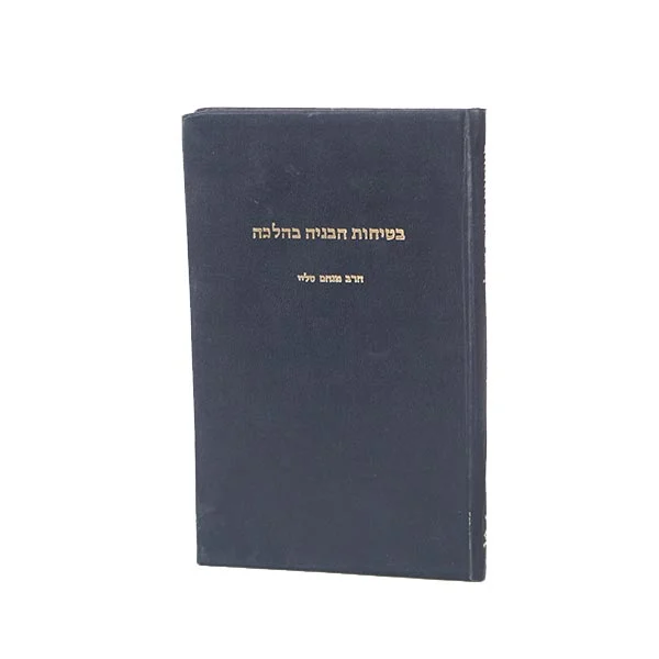 בטיחות הבניה בהלכה (מהרב מנחם סלי)